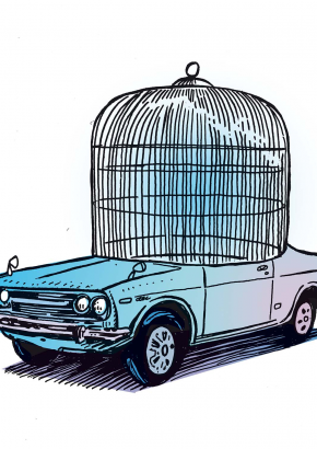 Bluebird Bluebird