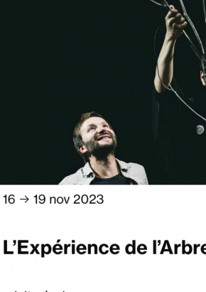Lexperience de l'arbre Lexperience de l'arbre