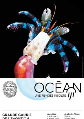 Expo océan une plongée insolite Expo océan une plongée insolite