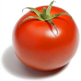 tomate-aubalcon.JPG