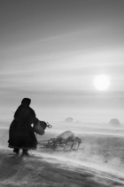 Genesis, Sebastiao Salgado à Lyon