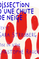 Dissection d'une chute de neige