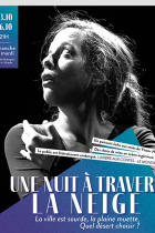 Une nuit à travers la neige