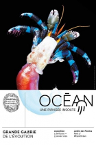 Expo océan une plongée insolite