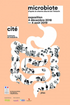 Expo Microbiote, Charme discret de l'intestin