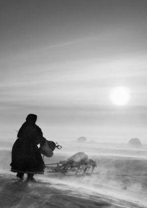 Genesis, Sebastiao Salgado à Lyon