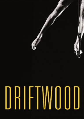 Driftwood